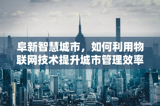 阜新智慧城市，如何利用物联网技术提升城市管理效率？