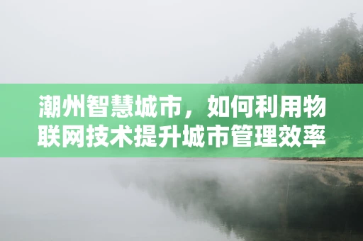 潮州智慧城市，如何利用物联网技术提升城市管理效率？