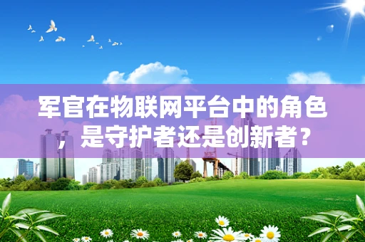 军官在物联网平台中的角色，是守护者还是创新者？