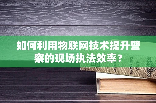 如何利用物联网技术提升警察的现场执法效率？