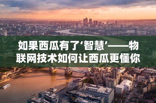 如果西瓜有了‘智慧’——物联网技术如何让西瓜更懂你？