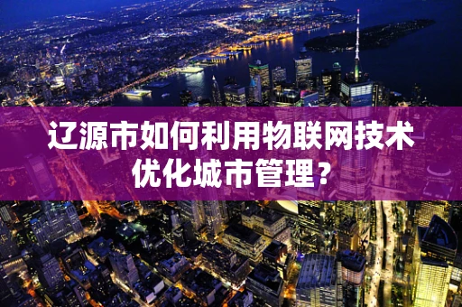 辽源市如何利用物联网技术优化城市管理？