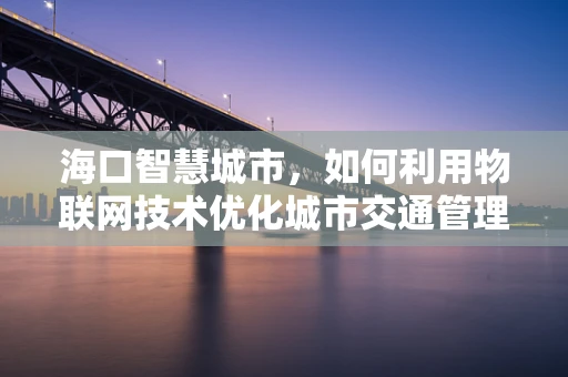 海口智慧城市，如何利用物联网技术优化城市交通管理？