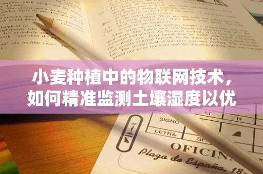 小麦种植中的物联网技术，如何精准监测土壤湿度以优化灌溉？