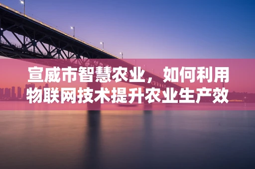 宣威市智慧农业，如何利用物联网技术提升农业生产效率？