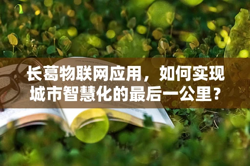 长葛物联网应用，如何实现城市智慧化的最后一公里？