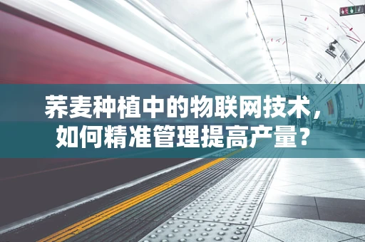 荞麦种植中的物联网技术，如何精准管理提高产量？