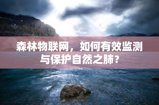 森林物联网，如何有效监测与保护自然之肺？