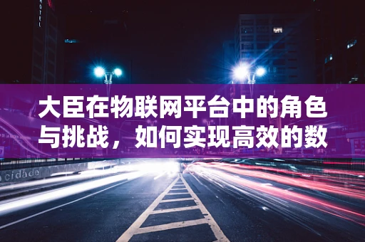 大臣在物联网平台中的角色与挑战，如何实现高效的数据治理与决策支持？