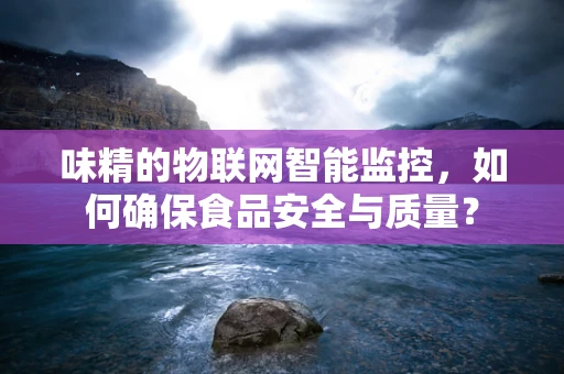 味精的物联网智能监控，如何确保食品安全与质量？