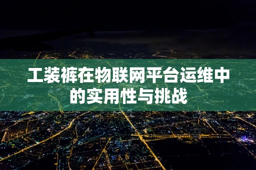 工装裤在物联网平台运维中的实用性与挑战