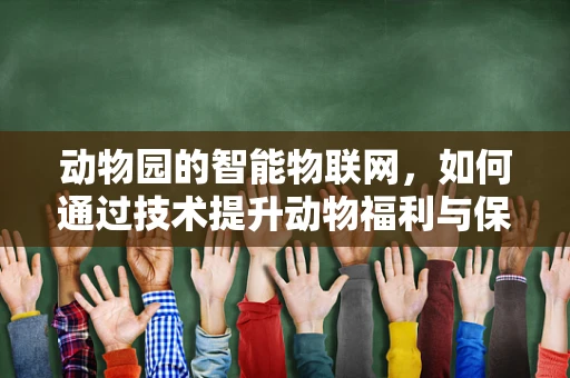 动物园的智能物联网，如何通过技术提升动物福利与保护？