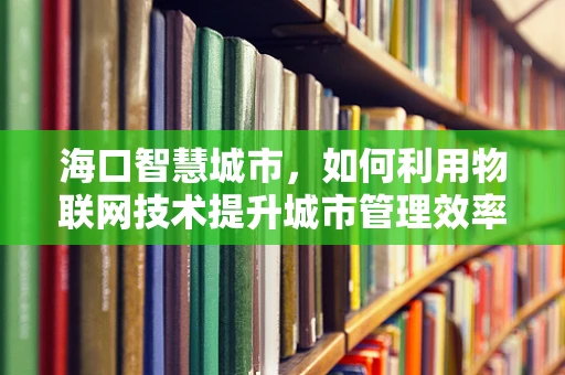 海口智慧城市，如何利用物联网技术提升城市管理效率？