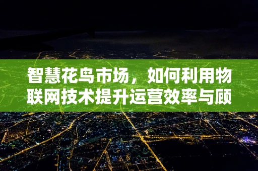 智慧花鸟市场，如何利用物联网技术提升运营效率与顾客体验？