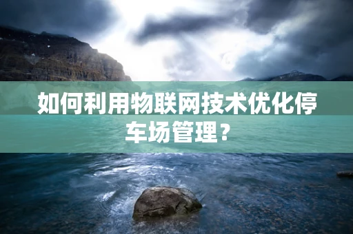 如何利用物联网技术优化停车场管理？