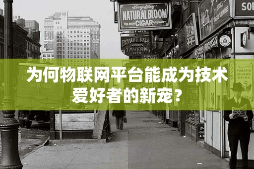 为何物联网平台能成为技术爱好者的新宠？