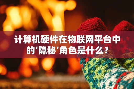 计算机硬件在物联网平台中的‘隐秘’角色是什么？