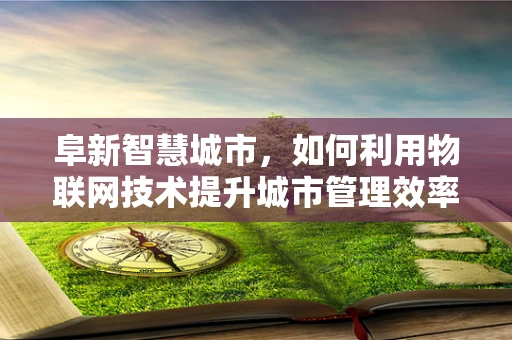 阜新智慧城市，如何利用物联网技术提升城市管理效率？