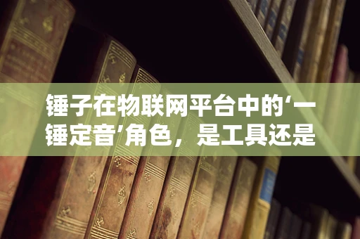 锤子在物联网平台中的‘一锤定音’角色，是工具还是创新催化剂？