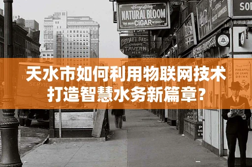 天水市如何利用物联网技术打造智慧水务新篇章？