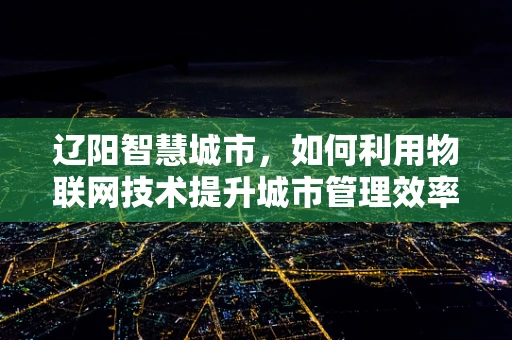 辽阳智慧城市，如何利用物联网技术提升城市管理效率？