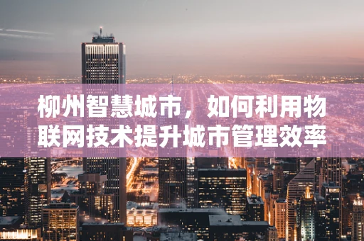 柳州智慧城市，如何利用物联网技术提升城市管理效率？