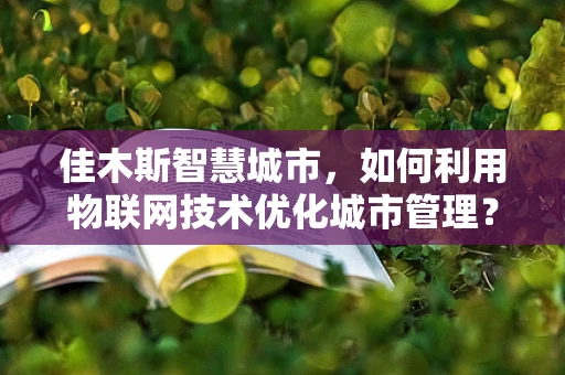 佳木斯智慧城市，如何利用物联网技术优化城市管理？