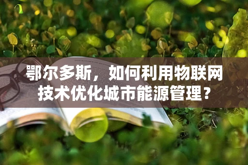 鄂尔多斯，如何利用物联网技术优化城市能源管理？