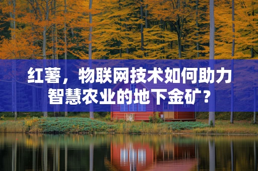 红薯，物联网技术如何助力智慧农业的地下金矿？