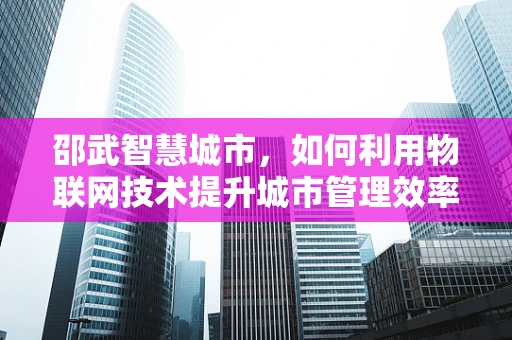 邵武智慧城市，如何利用物联网技术提升城市管理效率？