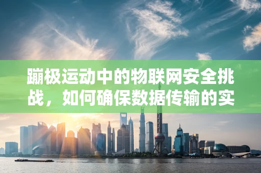 蹦极运动中的物联网安全挑战，如何确保数据传输的实时性与安全性？