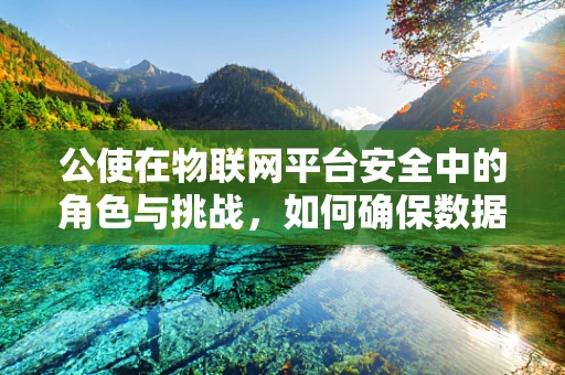 公使在物联网平台安全中的角色与挑战，如何确保数据传输的‘信使’安全无虞？