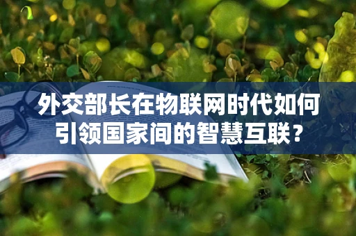 外交部长在物联网时代如何引领国家间的智慧互联？