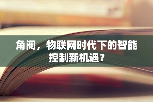 角阀，物联网时代下的智能控制新机遇？