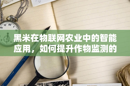 黑米在物联网农业中的智能应用，如何提升作物监测的精准度？