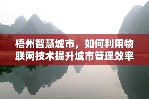 梧州智慧城市，如何利用物联网技术提升城市管理效率？