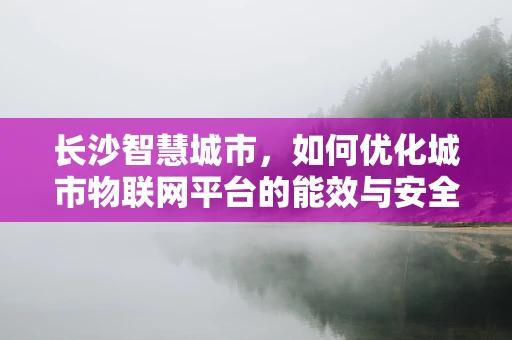 长沙智慧城市，如何优化城市物联网平台的能效与安全性？