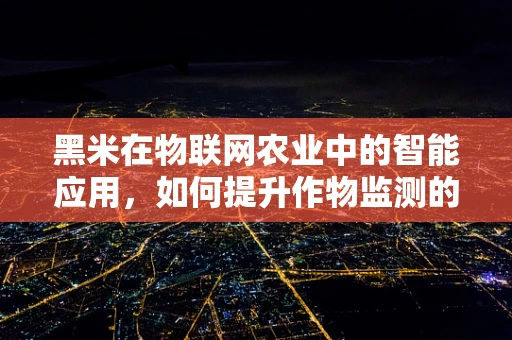 黑米在物联网农业中的智能应用，如何提升作物监测的精准度？