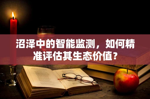 沼泽中的智能监测，如何精准评估其生态价值？