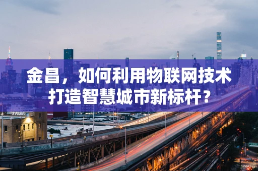 金昌，如何利用物联网技术打造智慧城市新标杆？