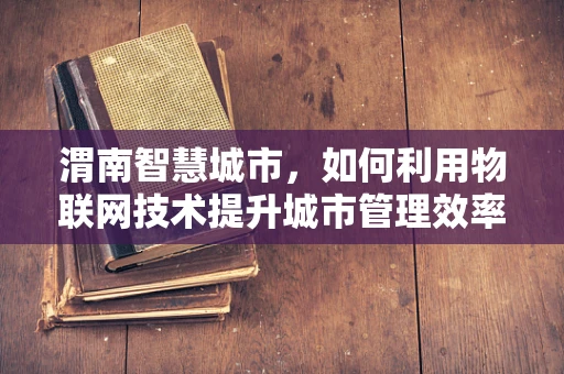 渭南智慧城市，如何利用物联网技术提升城市管理效率？