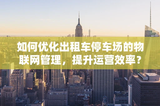 如何优化出租车停车场的物联网管理，提升运营效率？