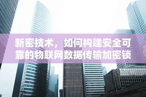 新密技术，如何构建安全可靠的物联网数据传输加密锁？