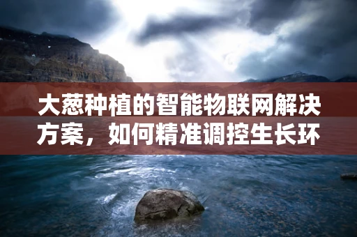 大葱种植的智能物联网解决方案，如何精准调控生长环境？