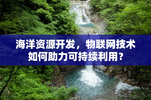 海洋资源开发，物联网技术如何助力可持续利用？