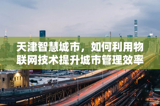 天津智慧城市，如何利用物联网技术提升城市管理效率？