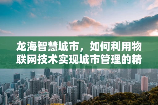 龙海智慧城市，如何利用物联网技术实现城市管理的精细化与智能化？