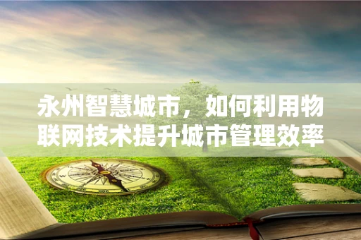 永州智慧城市，如何利用物联网技术提升城市管理效率？