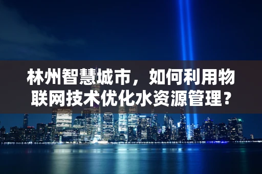 林州智慧城市，如何利用物联网技术优化水资源管理？