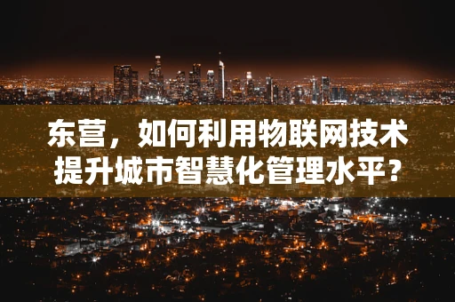 东营，如何利用物联网技术提升城市智慧化管理水平？